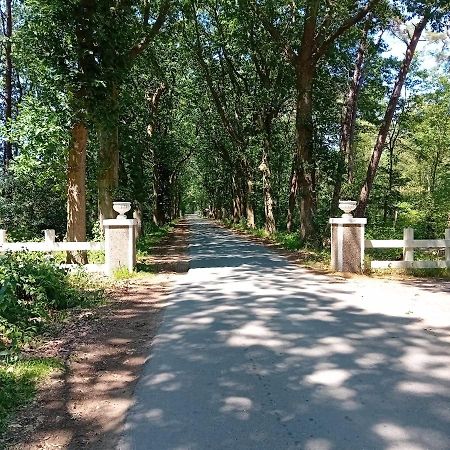 Chalet De Bult White 2 Persons Εξωτερικό φωτογραφία